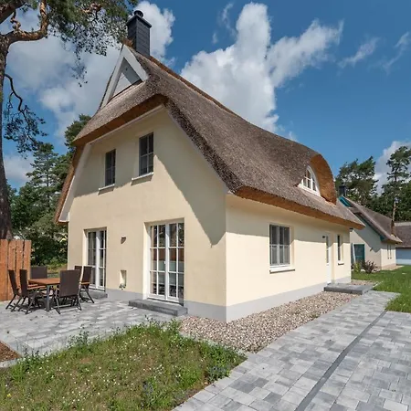 Libelle Mit Sauna